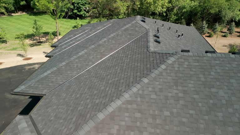 Best Roof Moss and Algae Removal  in Poth, TX