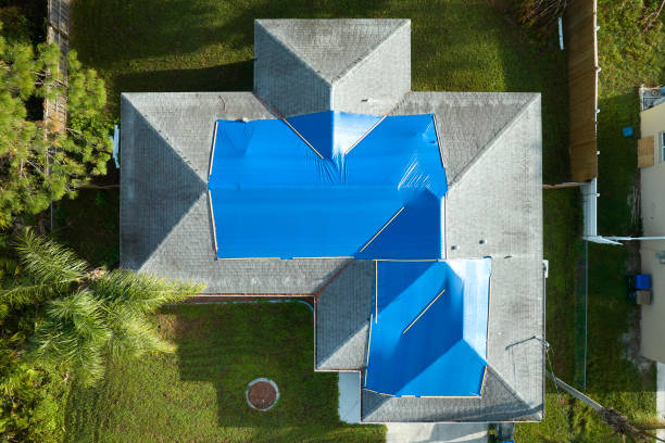 Best Solar Panel Roofing Installation  in Poth, TX